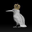 5654654654.jpg Kingfisher bird