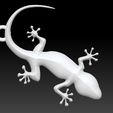 Gecko - copia.jpg Gecko