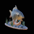 carp-high-quality-klacky-1-11.png big carp 2.0 underwater statue detailed texture for 3d printing
