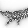 b4.jpg WHALE 2D