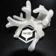 Coral_3.jpg 3D Printing Coral
