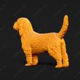 1011-Basset_Griffon_Vendeen_Petit_Pose_01.jpg Basset Griffon Vendeen Petit Dog 3D Print Model Pose 01