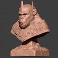 11.jpg Kingdom of The Planet of The Apes Bust