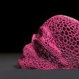 10002.jpg Vampire skull