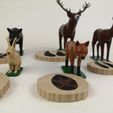 IMG_20201120_132217.jpg Educational realistic forest animals