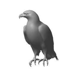 1.png OBJ-Datei Eagle・Design zum Herunterladen und 3D-Drucken