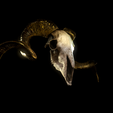454.png RAM SKULL