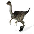 70000y.jpg DOWNLOAD Dinogall 3D MODEL ANIMATED - BLENDER - 3DS MAX - CINEMA 4D - FBX - MAYA - UNITY - UNREAL - OBJ -  Animal & creature Fan Art People Dinogall Dinosaur Gallimimus Gallimimus Aquilamimus Archaeornithomimus