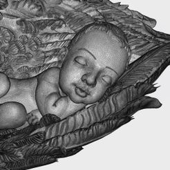 16.jpg NEWBORN BABY SLEEPING ON THE WINGS 3D print model