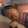 PXL_20251029_132921609.jpg Alien Insectoid Bust