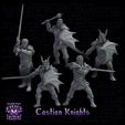 Castian-Knights.jpg Knights of Castia