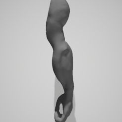BRAZO.jpg Datei OBJ ALURO , LUNATACS , THUNDECATS・Design für 3D-Drucker zum herunterladen