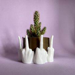 IMG_4245.jpg STL file Middle Finger Planter Plant Pot Drip Tray 3D print model・Template to download and 3D print
