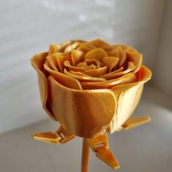ROSE Mechanised Articulated Flower