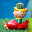 IMG_2866.jpg Little Prince Planter , planter