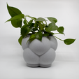 With-Plant-White-2.png Bubble Cloud Bottom Watering Planter