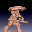 Mushroom-wizard-2-3.jpg A powerful wizard of the Mushroom race for DnD,Pathfinder and other tabletop games