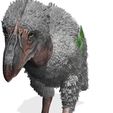 00TTT.jpg BIRD OF PREY TERROR HORROR DEMON DEVIL RAPTOR DINOSAUR WINGS FLYING PREHISTORIC CHARIZARD TERROR BIRD ANIMATED - BLENDER - 3DS MAX - CINEMA 4D - FBX - MAYA - UNITY - UNRE / EVIL / MONSTER Dinosaur