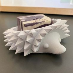 64C32C25-39FC-49FC-BEDC-0055E467E9A9_1_105_c.jpeg SoapHog The Soap Holding Hedgehog