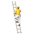 Painter50041.jpg N5 Painter on the Ladder