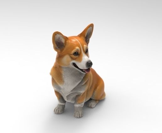 c3.jpg Corgi assis