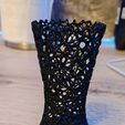 vase1.jpg Biomorphic Voronoi Lattice Vase Designed in Rhino - 3D Printable Digital File
