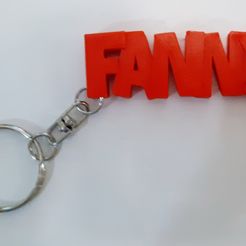 20200111_200212.jpg FANNY key ring