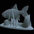 Perlin-23.png fish common rudd statue detailed texture for 3d printing