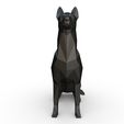7.jpg STL file Belgian Malinois dog・3D print design to download