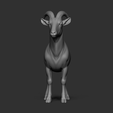 17.png Nanny goat