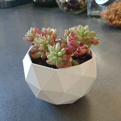 Low Poly Planter 3D model