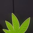 1664136780253.jpg Cannabis Leaf Lamp