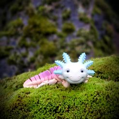 Adorable Articulated Axolotl, Print-In-Place Body, Snap-Fit Head, Cute Flexi