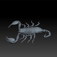 c222.jpg scorpion
