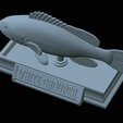 White-grouper-statue-46.png fish white grouper / Epinephelus aeneus statue detailed texture for 3d printing