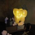 P9290047.jpg Tooth Fairy Night Light #LAMPSXCULTS
