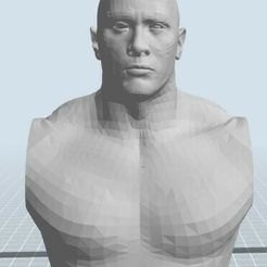 TheRock.jpg Fichier STL The Rock Dwayne Johnson WWE WWF Buste・Modèle imprimable en 3D à télécharger, harry6
