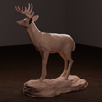 deer-side-2.png Whitetail Deer