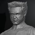 11.jpg Wolverine Logan By Hugh Jackman Marvel Comics Model Printing Miniature Assembly File STL for 3D Printing FDM-FFF DLP-SLA-SLS
