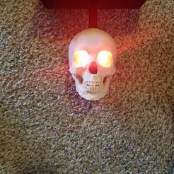 20211101_103239.jpg 3D LED Skull