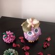 20220921_143835.jpg Owl Planter Pot