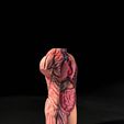 02.jpg 3D file 3D-Printed Anatomical Model・3D printer design to download