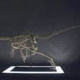DSC_0052 - Copie.jpg Life-size Vélociraptor skeleton Part01/05