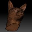 22.jpg Siamese Cat head for 3D printing