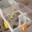 P2100097.JPG Arena for the modular ant farm