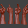 The_finger_27.png hand middle finger
