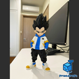 vegeta6.png VEGETA URBAN VIBES (MULTIPARTS/3MF/NoAMS)
