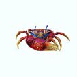0_00002.jpg Crab - DOWNLOAD Crab 3d Model - animated for Blender-Fbx-Unity-Maya-Unreal-C4d-3ds Max - 3D Printing Crab Crab Crab - POKÉMON - DINOSAUR