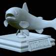 Rainbow-trout-trophy-open-mouth-1-29.png fish rainbow trout / Oncorhynchus mykiss trophy statue detailed texture for 3d printing