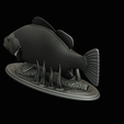 Peacock-Bass-statue-1-3-26.png FISH in motion Peacock bass (Cichla ocellaris) fish natural base detailed texture for 3d printing